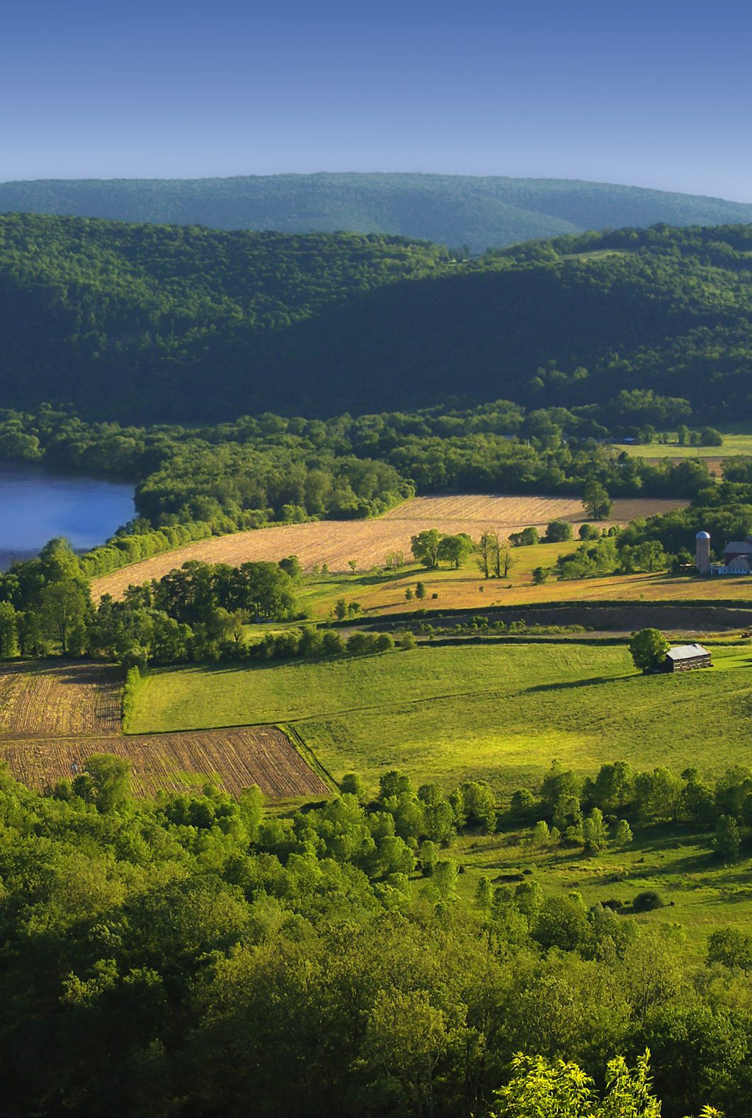 RIver banks